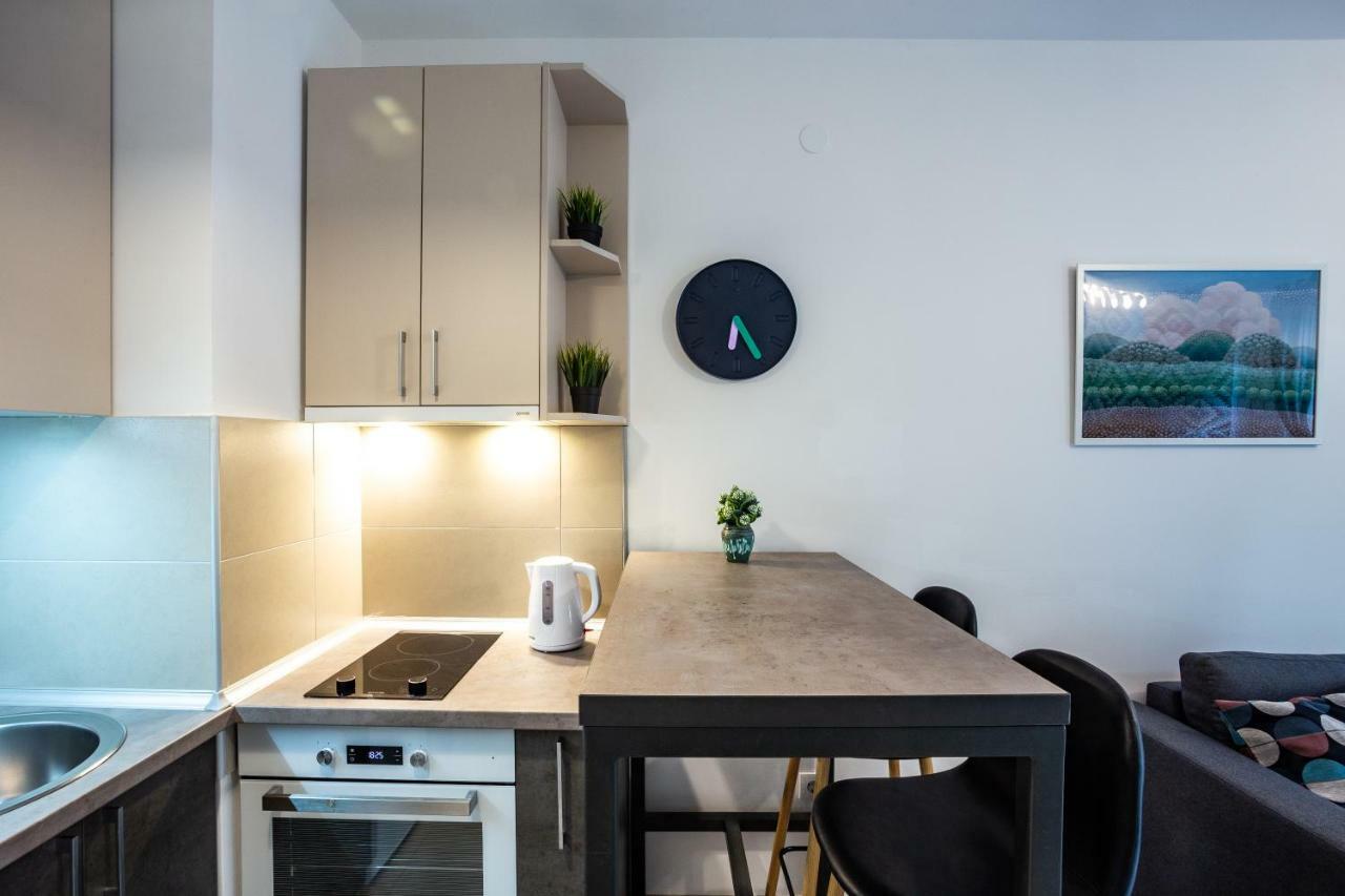 Modern Naive Downtown With Free Private Garage-Fast Wi-Fi Daire Novi Sad Dış mekan fotoğraf